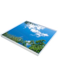 Active Sky LED paneel (120x120cm) 6500K Wolken en bomen